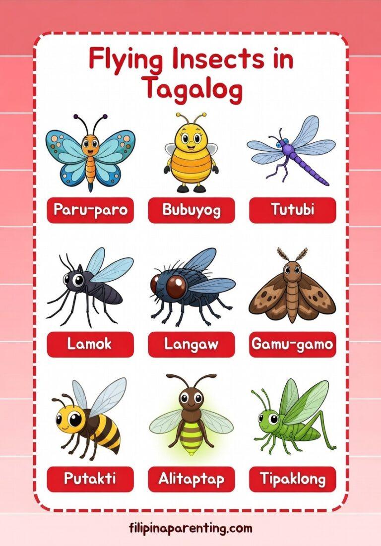 25 Helpful Insect Names in Tagalog (Mga Insekto with English ...