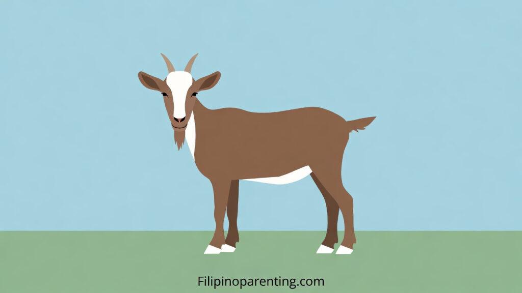 Goat in Tagalog: Unlock 12 Essential Example Sentences for Incredible Farm & Animal Vocabulary Mastery Illustration of a brown and white goat for learning the Tagalog word Kambing.