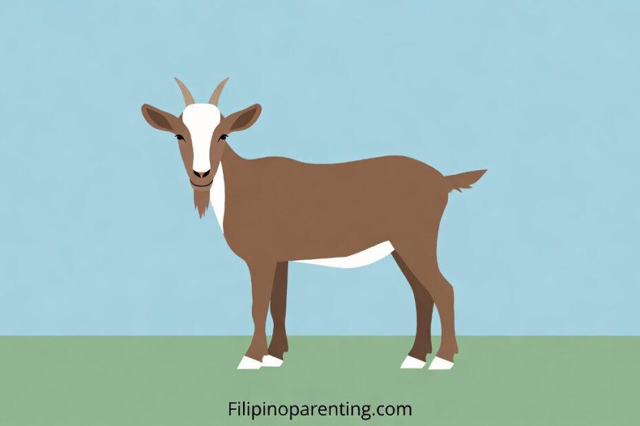 Goat in Tagalog: Unlock 12 Essential Example Sentences for Incredible Farm & Animal Vocabulary Mastery Illustration of a brown and white goat for learning the Tagalog word Kambing.