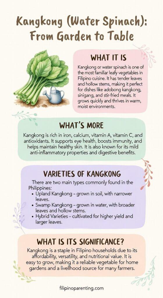 Filipino Vegetable Gardening: 10 Essential Vegetables for Your Backyard 🌱 Detailed infographic guide for Kangkong (Water Spinach) in Filipino cooking, featuring varieties like Upland and Swamp Kangkong, nutritional benefits, and its use in dishes like Adobong Kangkong.