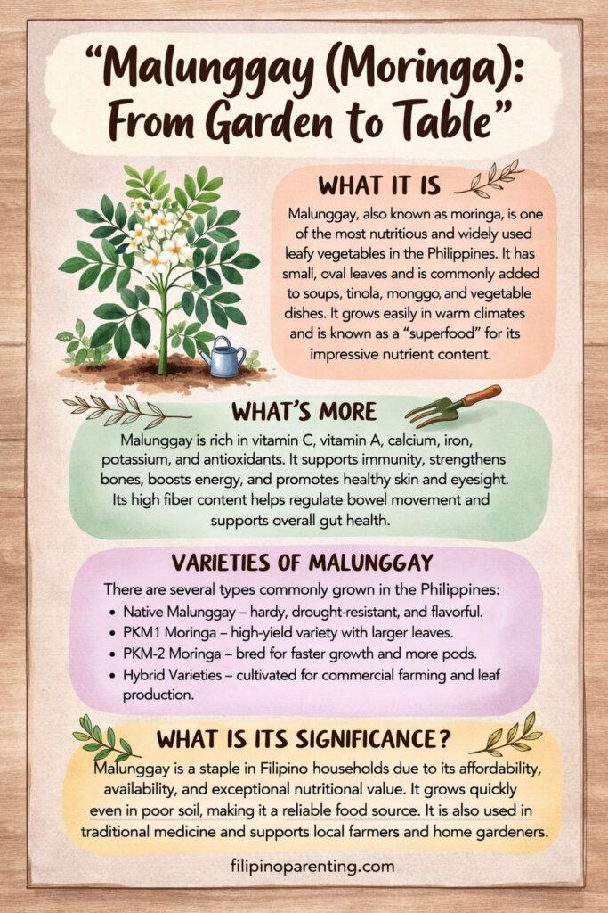 Filipino Vegetable Gardening: 10 Essential Vegetables for Your Backyard 🌱 Comprehensive guide to Malunggay (Moringa) benefits, varieties, and its significance in Filipino culture and cooking.
