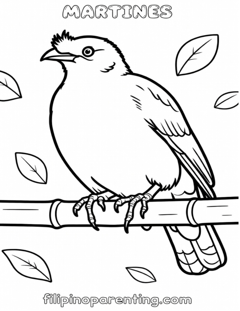 16 Free Philippine Bird (Ibon) Coloring Pages: Ultimate Heritage Guide Printable Martines (Common Myna) Tagalog vocabulary coloring page for families and language learners.