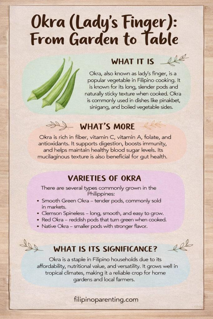 Filipino Vegetable Gardening: 10 Essential Vegetables for Your Backyard 🌱 Detailed infographic guide for Okra (Lady’s Finger) in Filipino cooking, featuring varieties like Smooth Green and Clemson Spineless, nutritional benefits, and its role in dishes like Pinakbet.