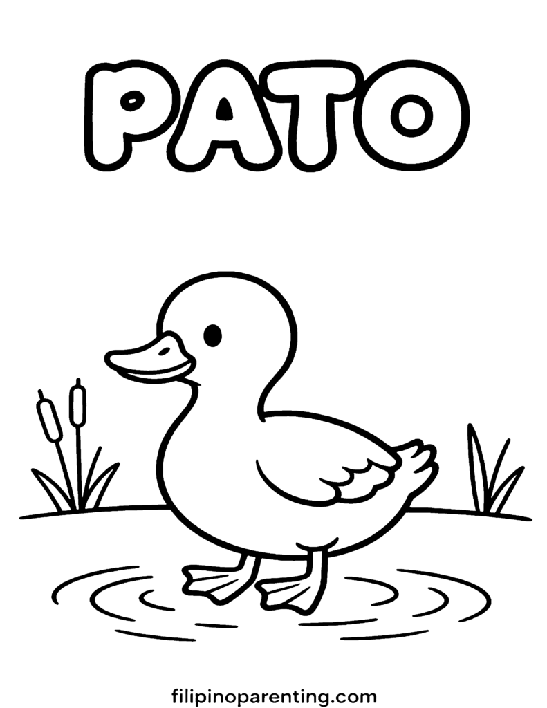 16 Free Philippine Bird (Ibon) Coloring Pages: Ultimate Heritage Guide Printable Pato (Duck) Tagalog vocabulary coloring page for families and language learners.