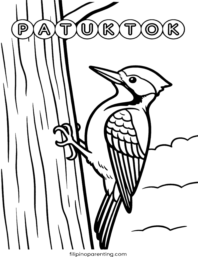 16 Free Philippine Bird (Ibon) Coloring Pages: Ultimate Heritage Guide Printable Patuktok (Woodpecker) Tagalog vocabulary coloring page for families and language learners.