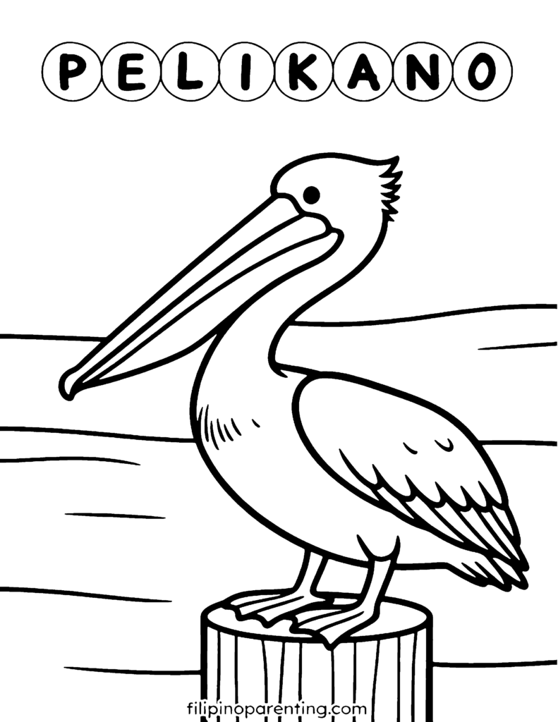 16 Free Philippine Bird (Ibon) Coloring Pages: Ultimate Heritage Guide Printable Pelikano (Pelican) Tagalog coloring page for families, kids, and language learners learning Filipino bird vocabulary