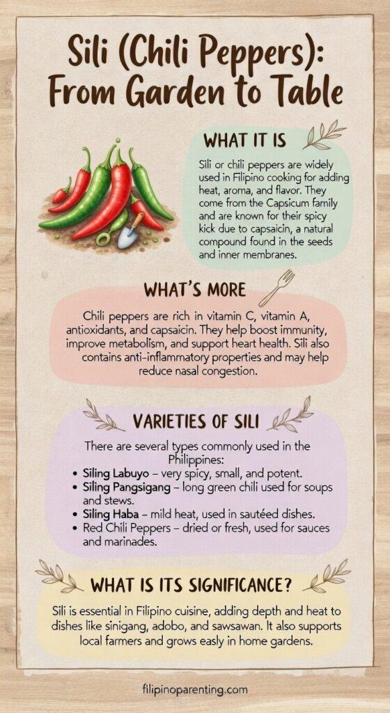 Filipino Vegetable Gardening: 10 Essential Vegetables for Your Backyard 🌱 Detailed infographic guide to Sili (Chili Peppers) in the Philippines, including varieties like Siling Labuyo and Siling Haba, health benefits, and use in Filipino cooking.