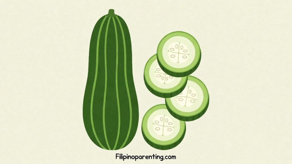 Patola (Sponge Gourd in Tagalog): 7 Fascinating Facts, Health Benefits & Easy Filipino Recipes Illustration of a whole green patola (sponge gourd) and four round slices on a cream background.