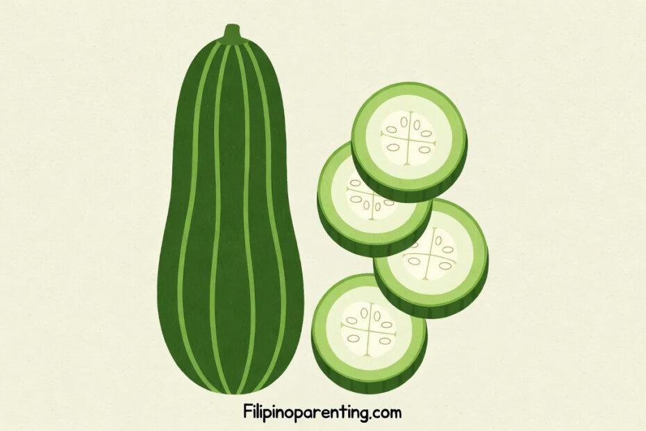 Illustration of a whole green patola (sponge gourd) and four round slices on a cream background.