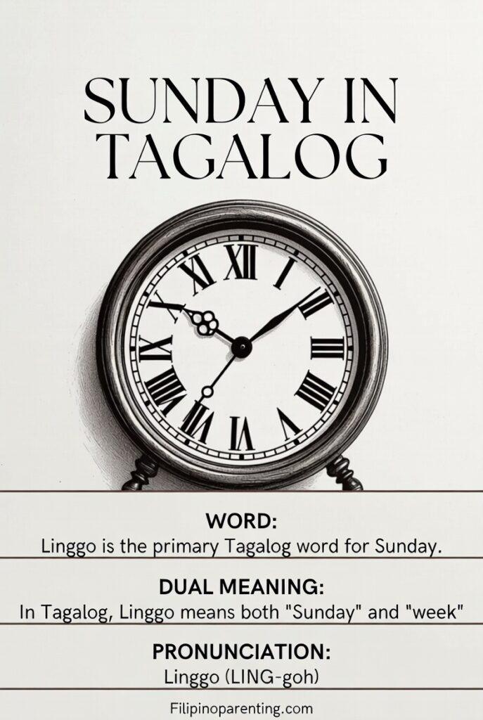 15 Essential Sunday in Tagalog Phrases: A Guide to Heartfelt Traditions Simple anatomical poster of a Sunday in Tagalog clock with habitat and diet facts.