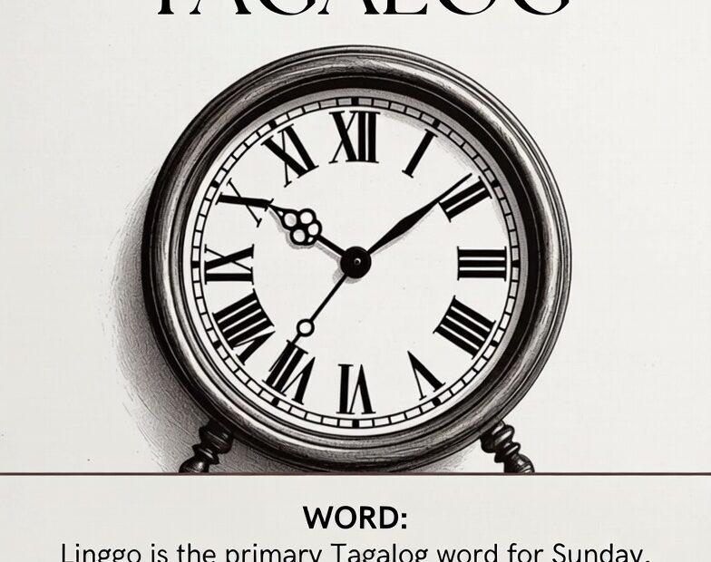 Simple anatomical poster of a Sunday in Tagalog clock with habitat and diet facts.