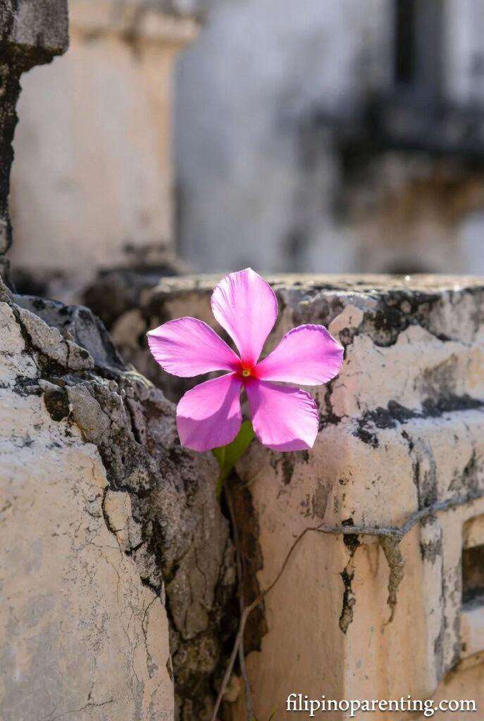 Tagalog Quotes for Healing Broken Heart Slowly: 5 Sacred Truths A Sampaguita flower growing through a stone crack representing Tagalog Quotes for Healing Broken Heart Slowly.