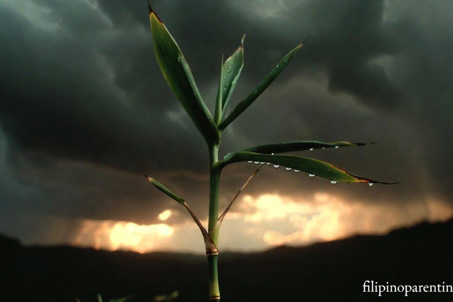 Tagalog Quotes for Inner Resilience and Strength: 5 Unshakeable Truths A green bamboo stalk in a storm representing Tagalog Quotes for Inner Resilience and Strength.