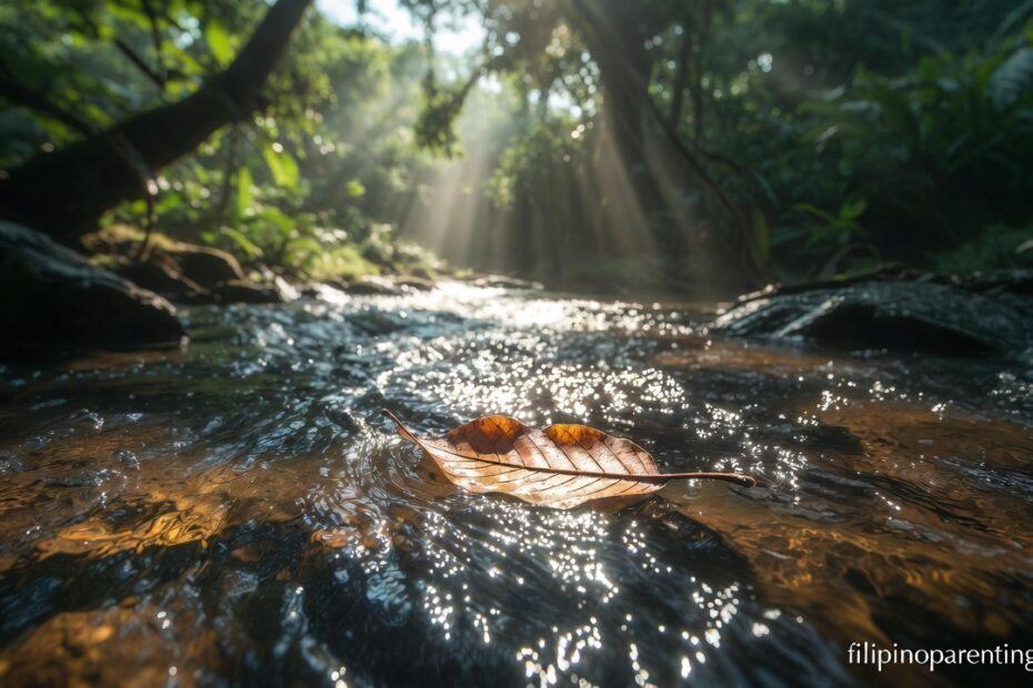 A leaf floating on a stream representing Tagalog Sayings Surrender Divine Will Peace.