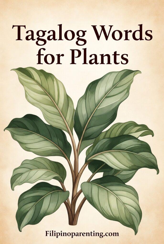 Tagalog Words for Plants: 15 Beautiful Filipino Plant Names Every Learner Should Know Tagalog Words for Plants