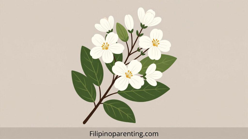 Tagalog Words Starting with S: 15 Beautiful & Essential Words for Beginners Tagalog words starting with S: A stylized vector illustration of a Sampaguita branch with white flowers and green leaves.
