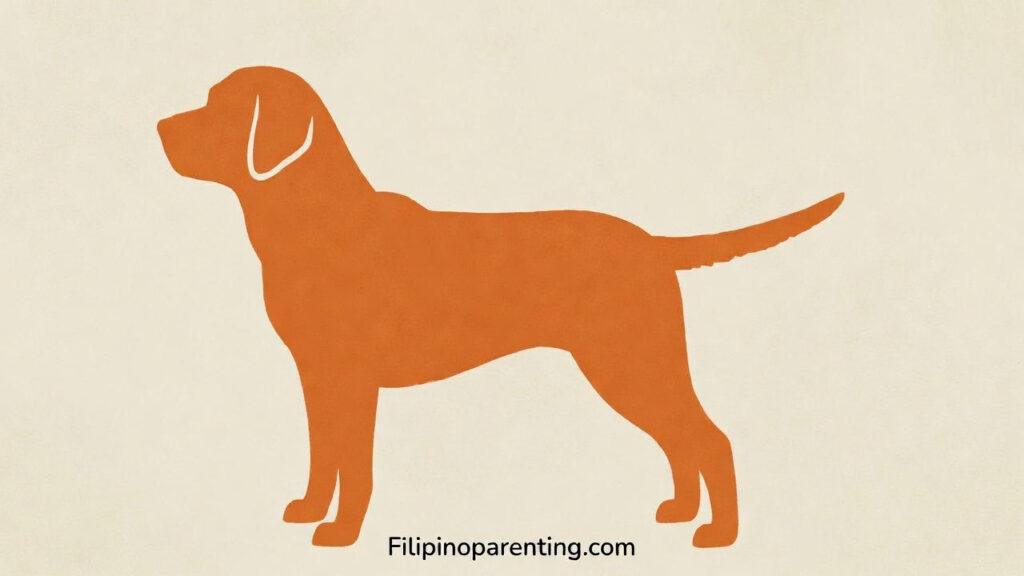 Tail in Tagalog: Unlock 12 Essential Example Sentences for Incredible Animal & Body Part Mastery Tail in Tagalog