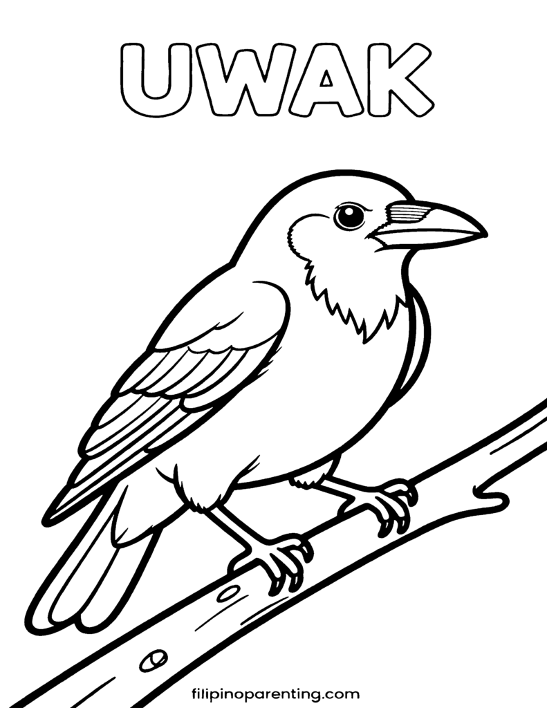 16 Free Philippine Bird (Ibon) Coloring Pages: Ultimate Heritage Guide Printable Tagalog bird coloring page featuring an 'Uwak' (Crow) for language learners and families.