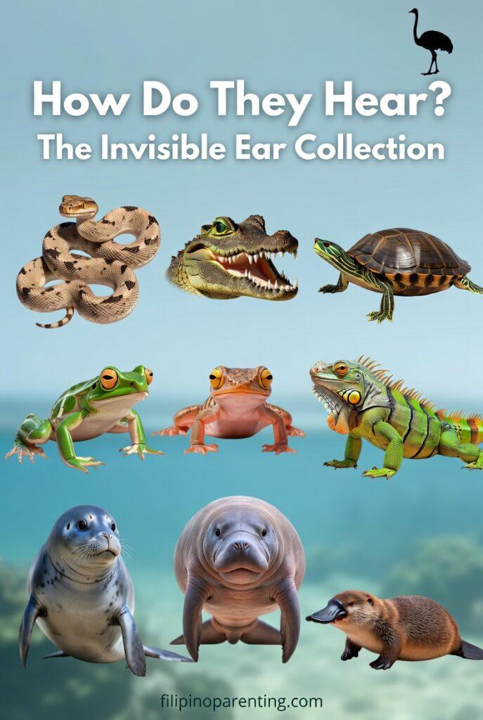 Animals With No Ears: 20 Fascinating Species That Still Hear Perfectly Educational guide showing animals with invisible ears like snakes, crocodiles, frogs, and manatees for Filipino families.