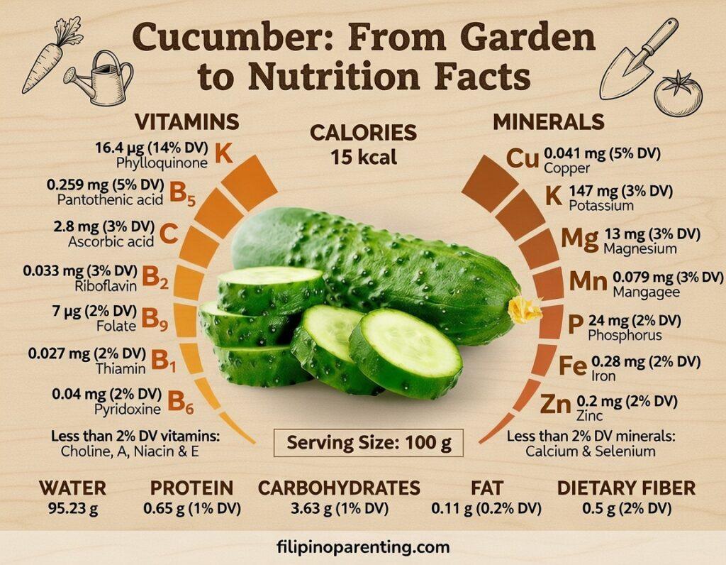 Cucumber in Tagalog: 7 Powerful Reasons Pipino Is a Kitchen Staple Comprehensive Pipino nutrition facts chart showing Vitamins K, B5, and C, minerals like Potassium, and low calorie count for healthy Filipino families.