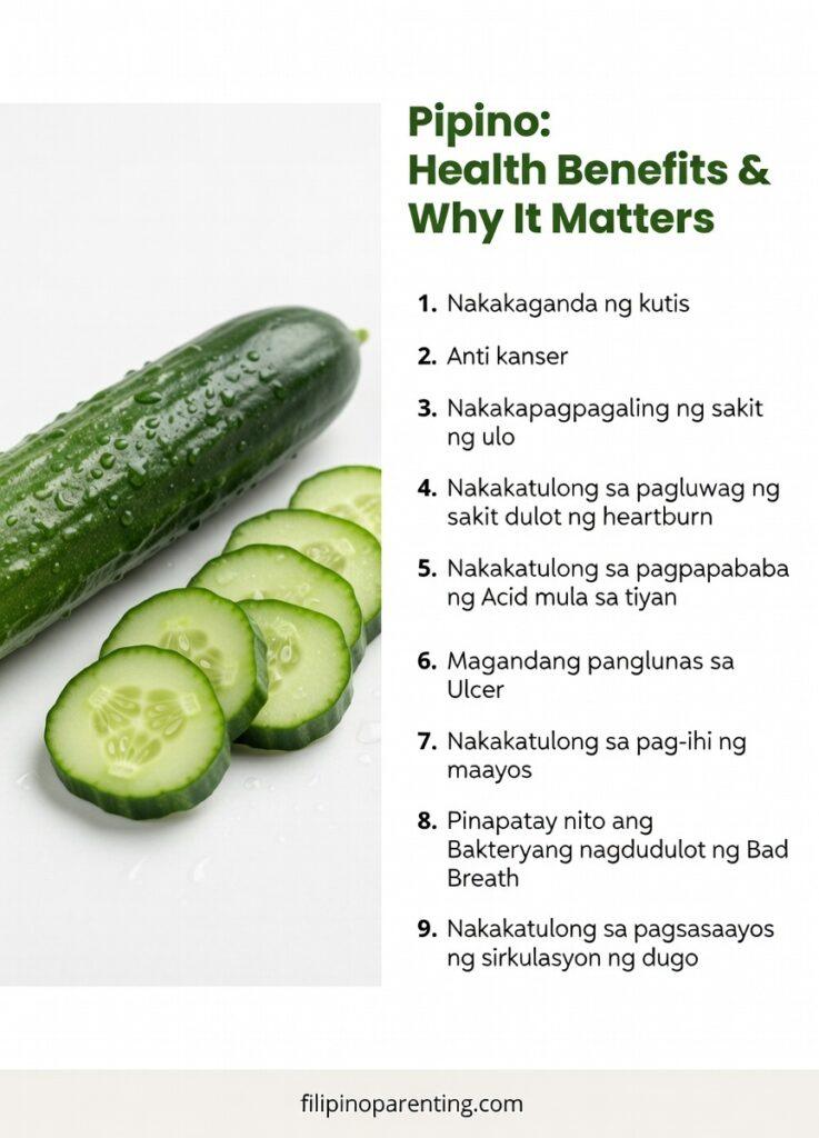 Cucumber in Tagalog: 7 Powerful Reasons Pipino Is a Kitchen Staple Infographic of Pipino health benefits in Tagalog including skin care, digestion, and circulation for Filipino families.